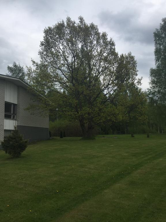 Matara Bed & Breakfast Jämsä المظهر الخارجي الصورة